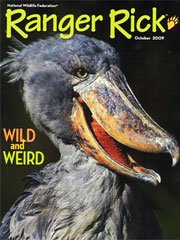 RANGER RICK magazine subscription